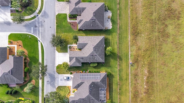 bird's eye view