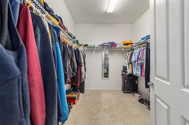 walk in closet featuring carpet