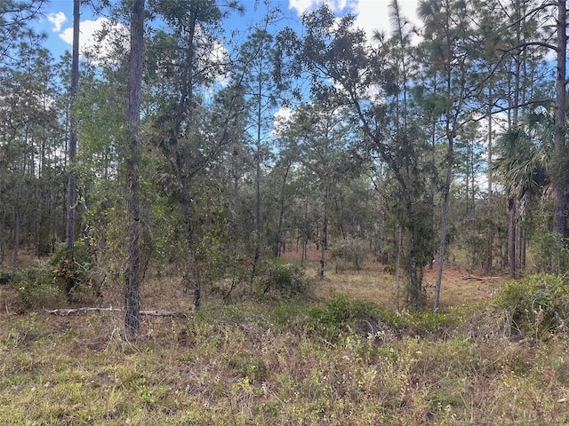 SE 129th Ct, Dunnellon FL, 34431 land for sale