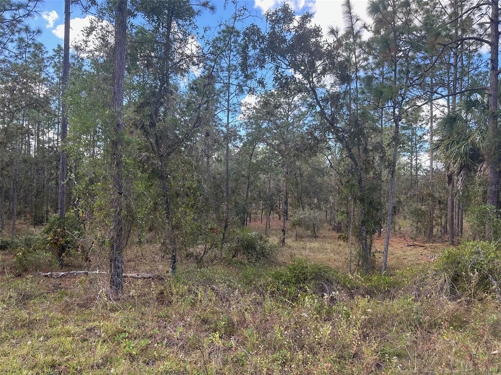 SE 129th Ct, Dunnellon, FL 34431 - photo 1