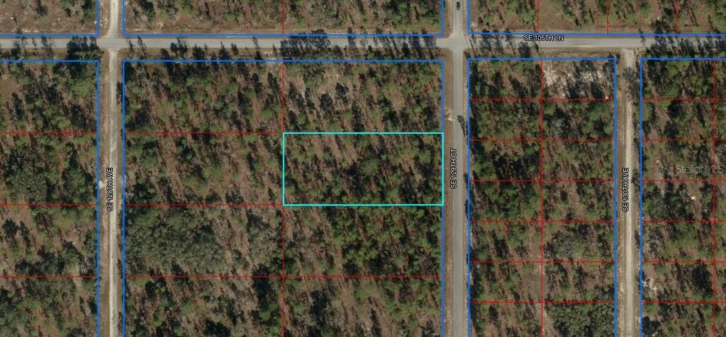 SE 129th Ct, Dunnellon, FL 34431 - photo 2