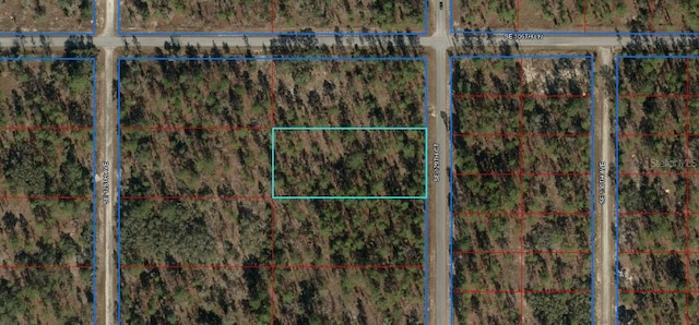SE 129th Ct, Dunnellon, FL 34431 - photo 2