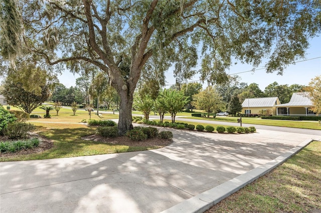 view of community featuring a lawn