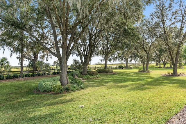 view of yard featuring a rural view