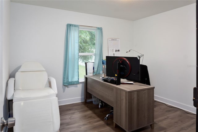 office area featuring dark hardwood / wood-style floors