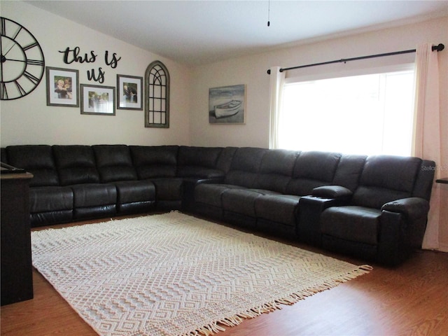 living room with hardwood / wood-style floors