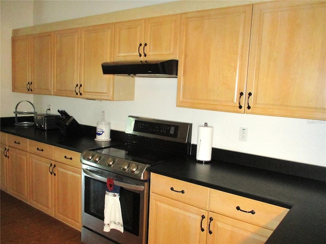 kitchen with light brown cabinets and electric stove