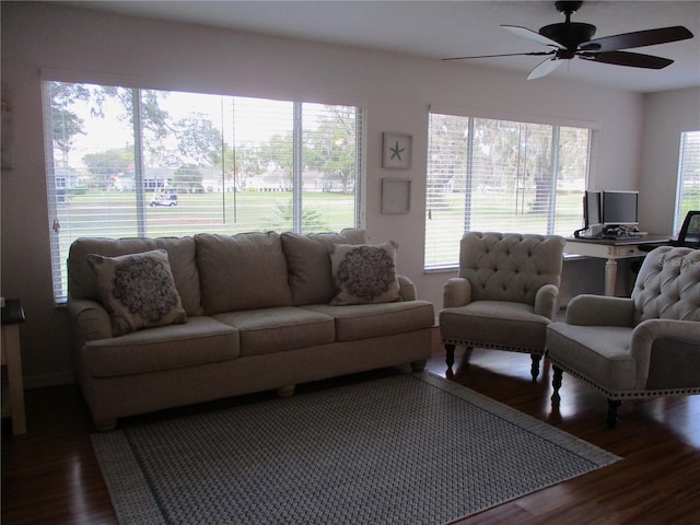 living room with ceiling fan and dark hardwood / wood-style flooring