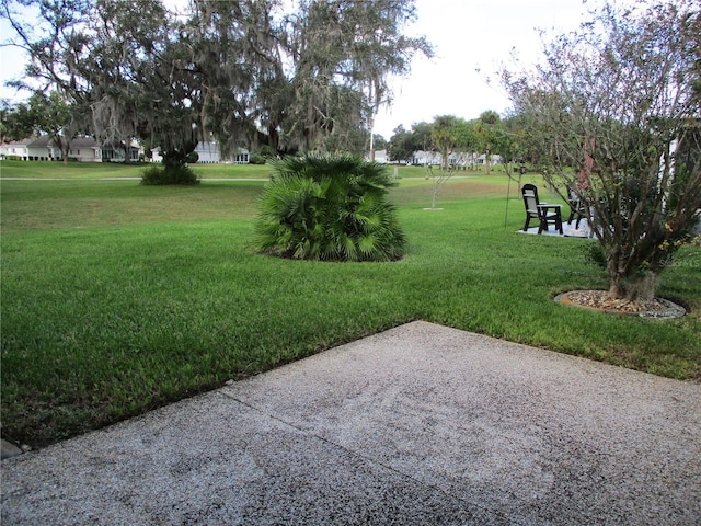 view of yard featuring a patio