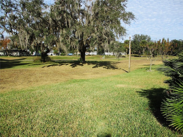 view of community featuring a yard