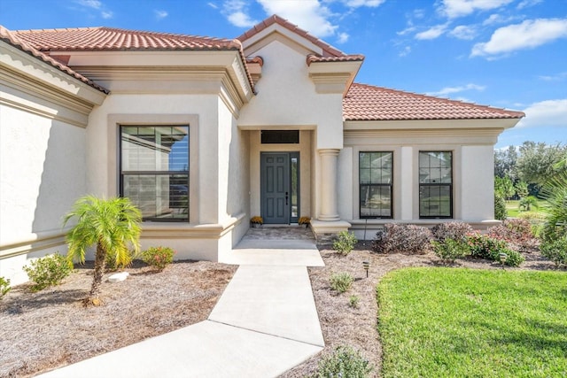 property entrance with a yard