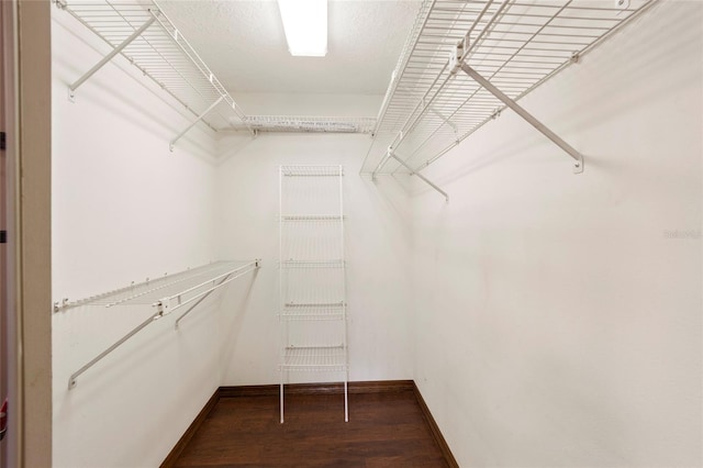 walk in closet with dark hardwood / wood-style floors