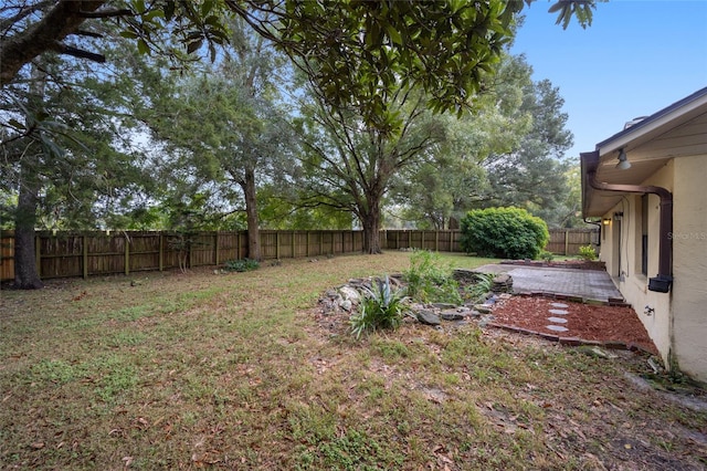 view of yard featuring a patio area