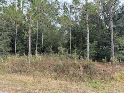 Address Not Disclosed, Dunnellon FL, 34431 land for sale