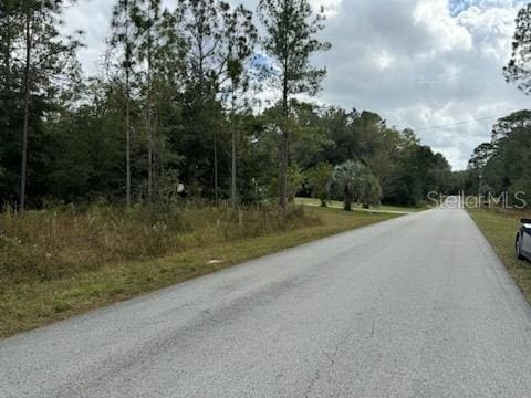 Listing photo 3 for Address Not Disclosed, Dunnellon FL 34431