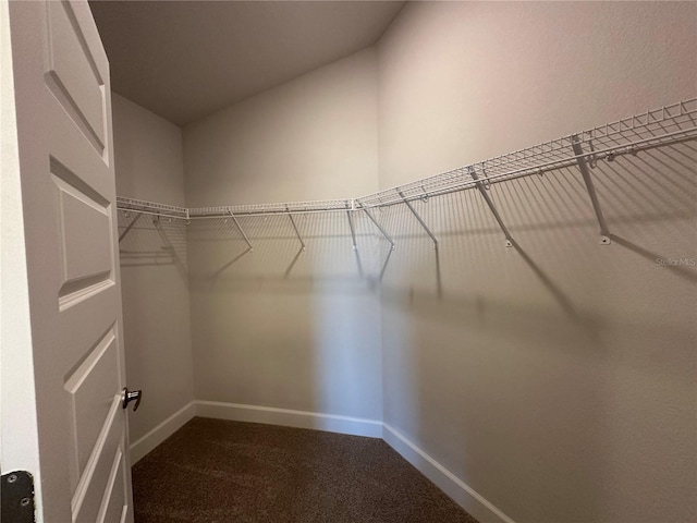 spacious closet featuring carpet flooring