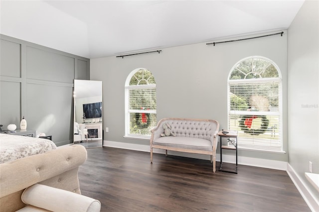 bedroom featuring dark wood-type flooring, multiple windows, and a fireplace