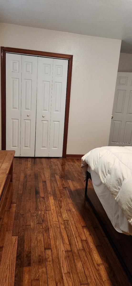 unfurnished bedroom featuring dark wood-type flooring and a closet