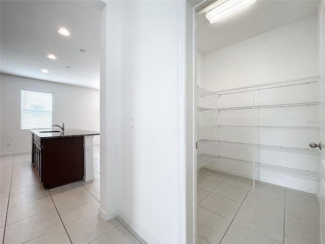 pantry featuring sink