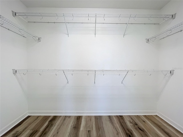 spacious closet featuring dark hardwood / wood-style flooring