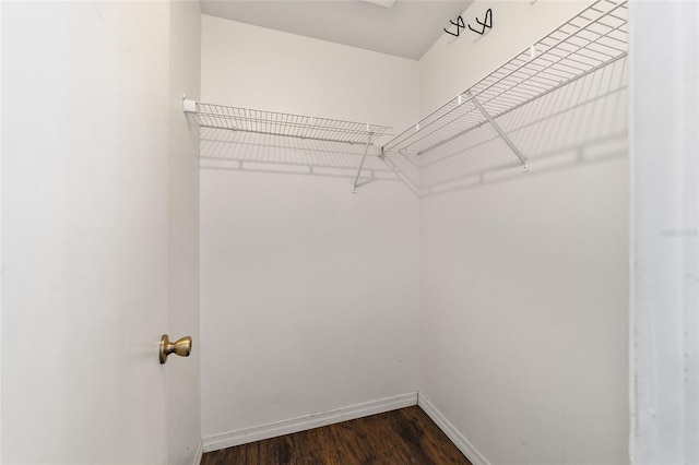 spacious closet featuring dark wood finished floors