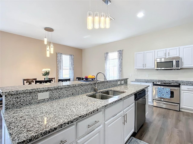 227 Locust Pass Crse, Ocala, FL 34472 - kitchen featuring appliances with stainless steel finishes, a sink, dark wood-type flooring, and plenty of natural light