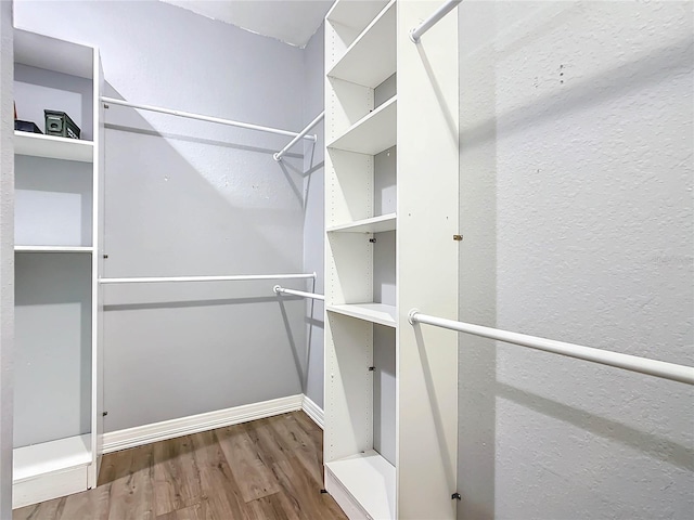 spacious closet featuring hardwood / wood-style floors