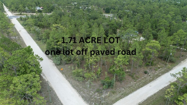 4 SE 21st Pl, Morriston FL, 32668 land for sale