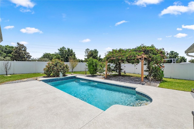 view of pool with a patio area