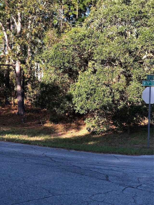 SW 138 Street Rd, Ocala FL, 34473 land for sale