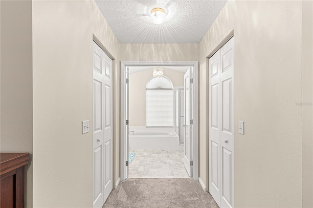 hall featuring carpet and a textured ceiling