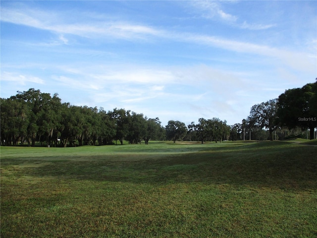 view of property's community featuring a yard