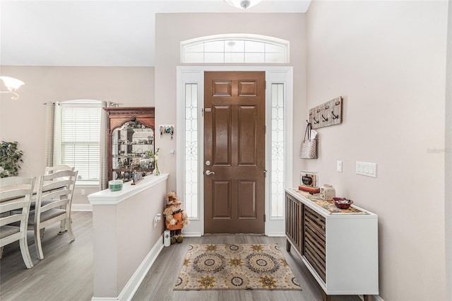 entrance foyer featuring hardwood / wood-style floors