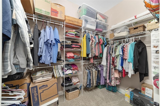 walk in closet with carpet floors