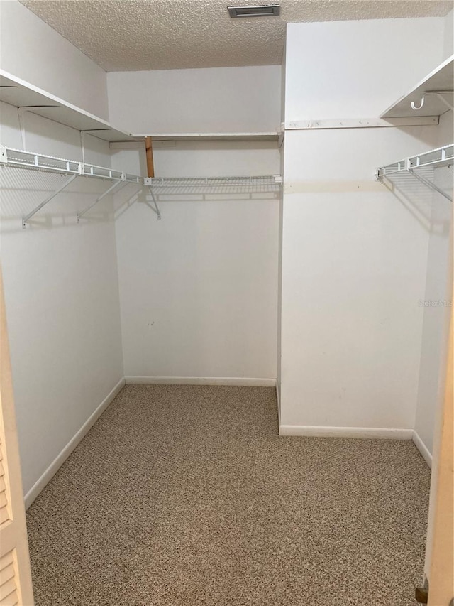 spacious closet with carpet flooring