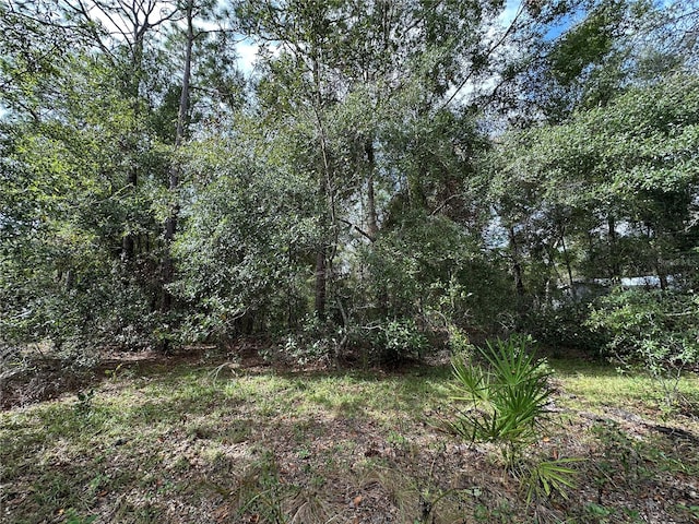 4670 NE 142nd Ave, Williston FL, 32696 land for sale