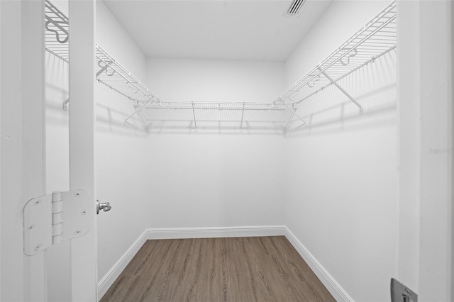 spacious closet featuring wood-type flooring