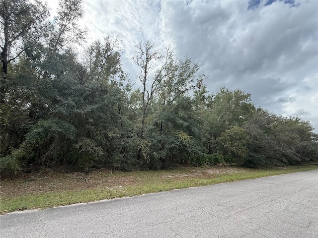 Listing photo 2 for TBD SW 59th Ct, Ocala FL 34473