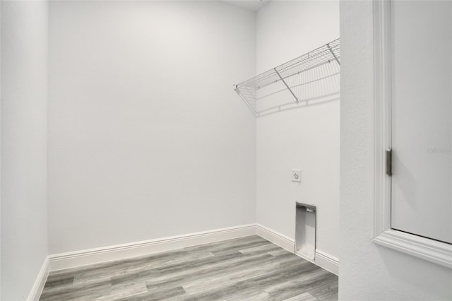 clothes washing area featuring hookup for an electric dryer and light hardwood / wood-style flooring