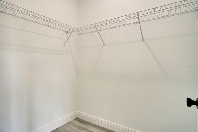 spacious closet featuring wood-type flooring