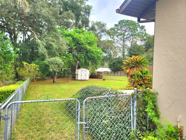 view of yard with a shed