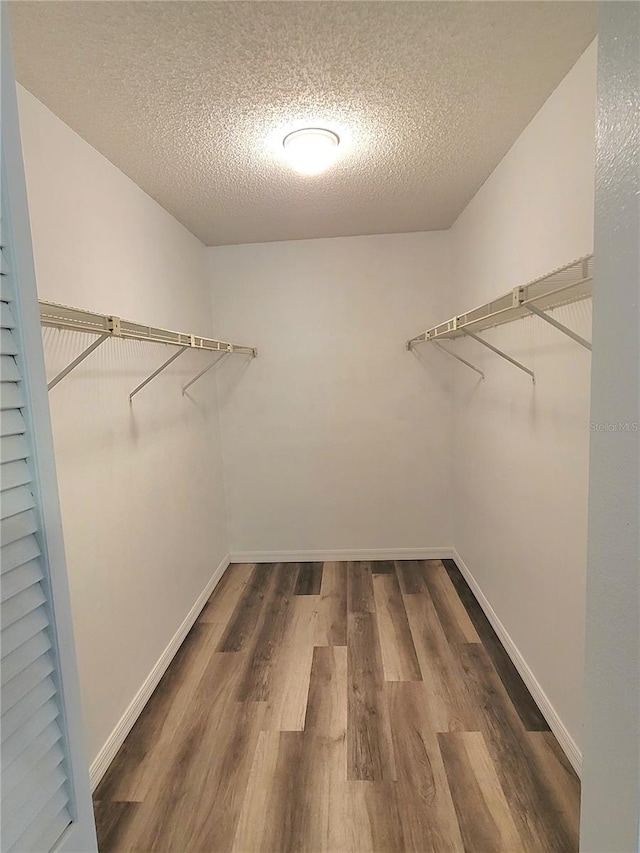 walk in closet featuring dark hardwood / wood-style floors