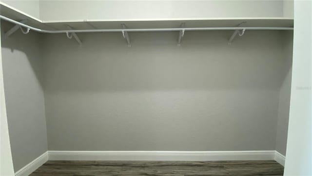 walk in closet featuring dark hardwood / wood-style flooring