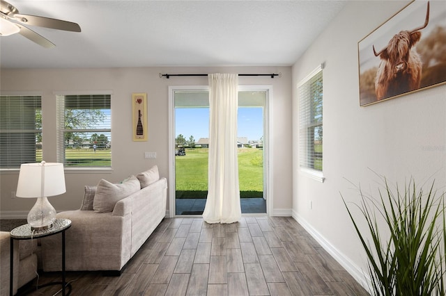 entryway featuring dark hardwood / wood-style flooring, a wealth of natural light, and ceiling fan