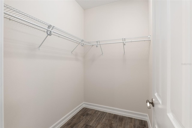 spacious closet featuring dark hardwood / wood-style flooring