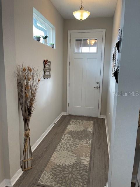 entryway with dark hardwood / wood-style flooring