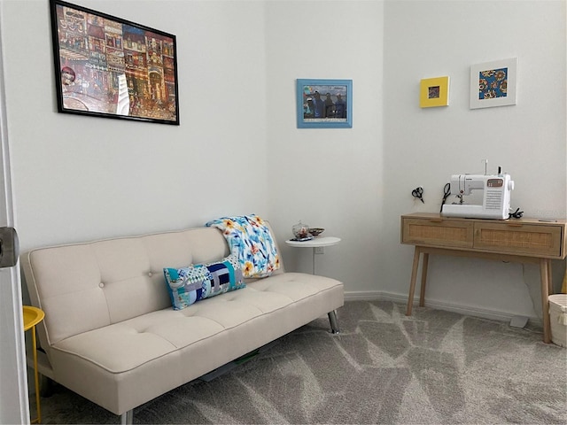 sitting room featuring carpet flooring