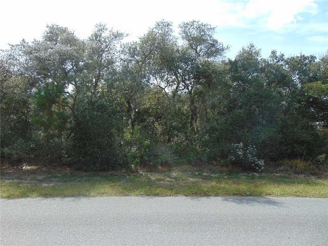 Listing photo 3 for 00 SW 98th Ln, Ocala FL 34476