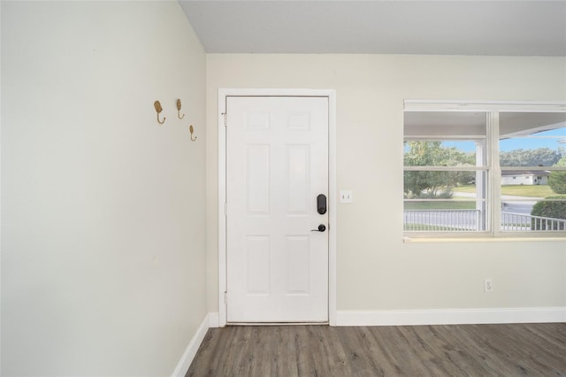 entryway featuring dark hardwood / wood-style flooring