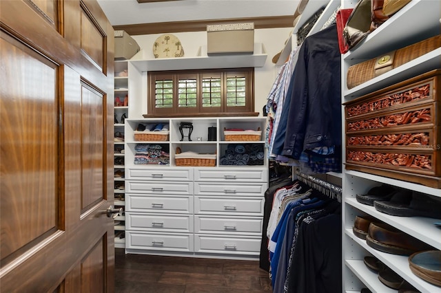 spacious closet featuring dark wood-type flooring